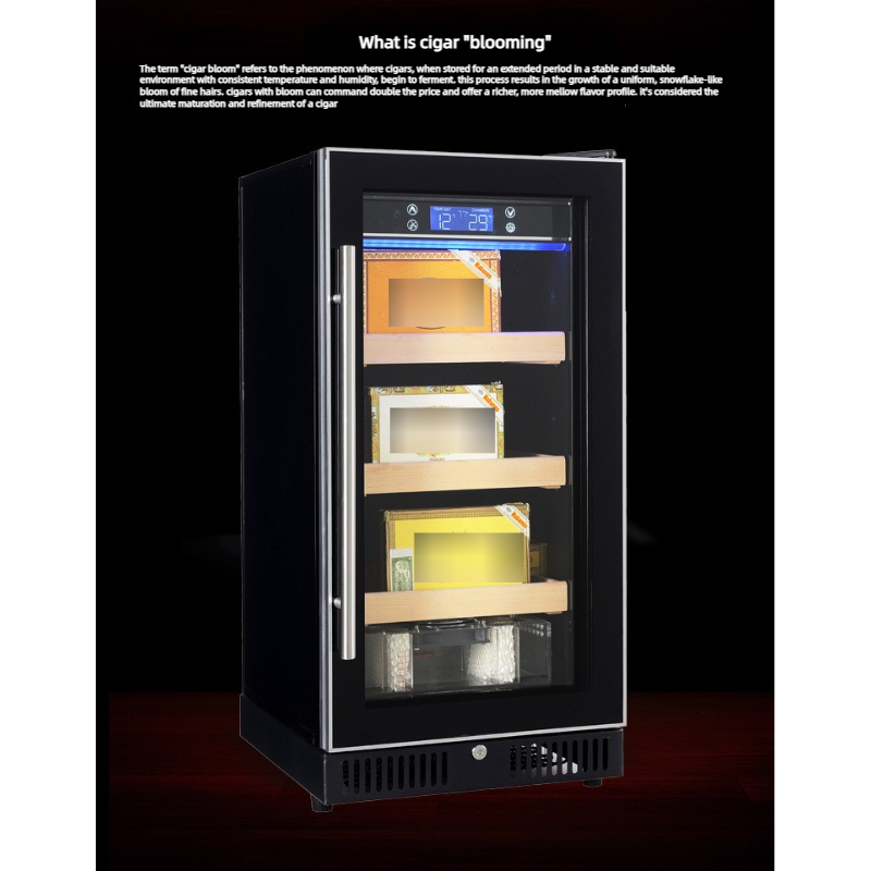 Humidor per Sigari da 150-300  - Home Bar And Cabinet recensione e prezzo